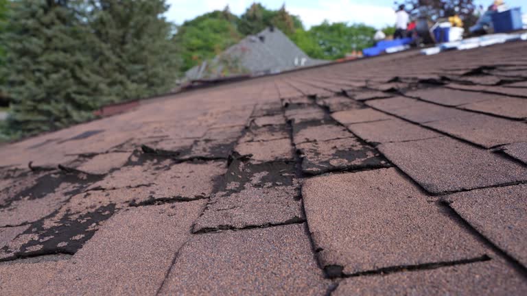 Professional Roofing Services in Barclay, NJ